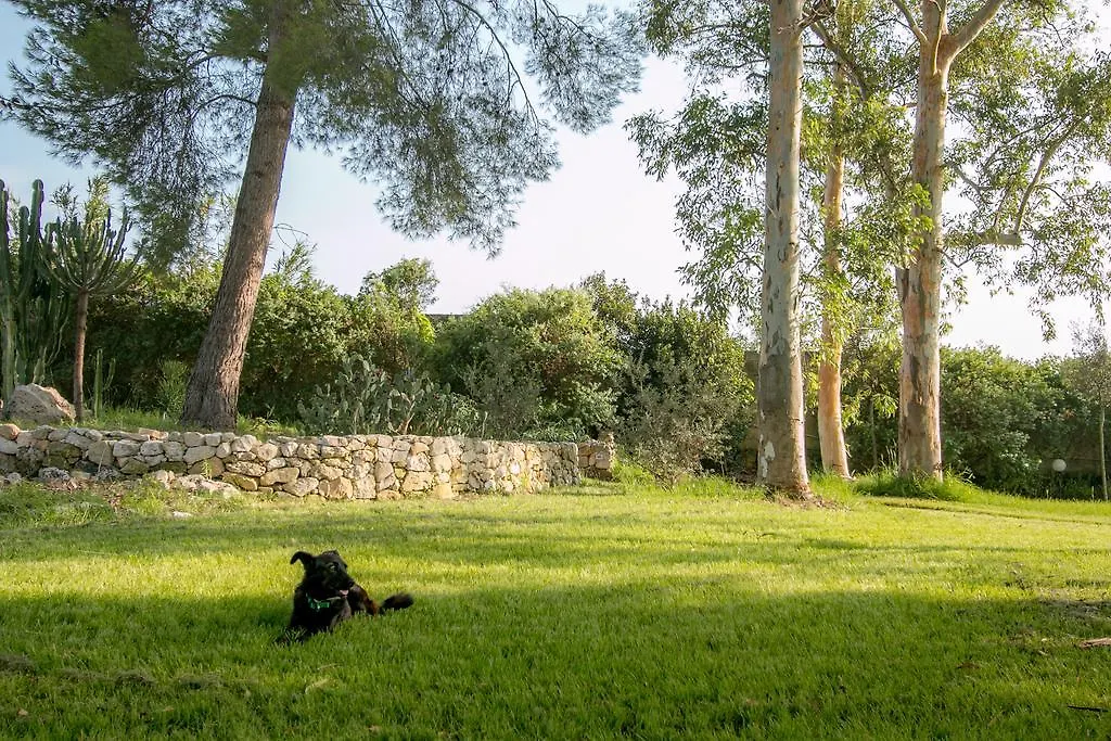 Tenuta Masseria Cocciolicchio Hotel Lecce Casa vacanze