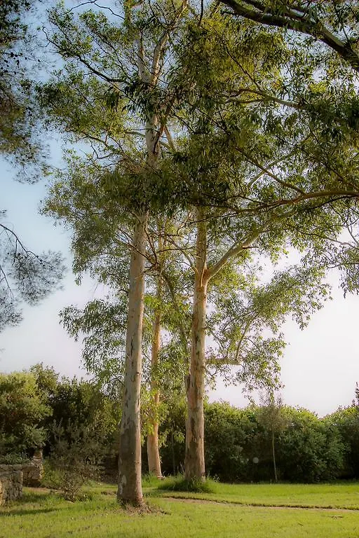 Tenuta Masseria Cocciolicchio Hotel Lecce