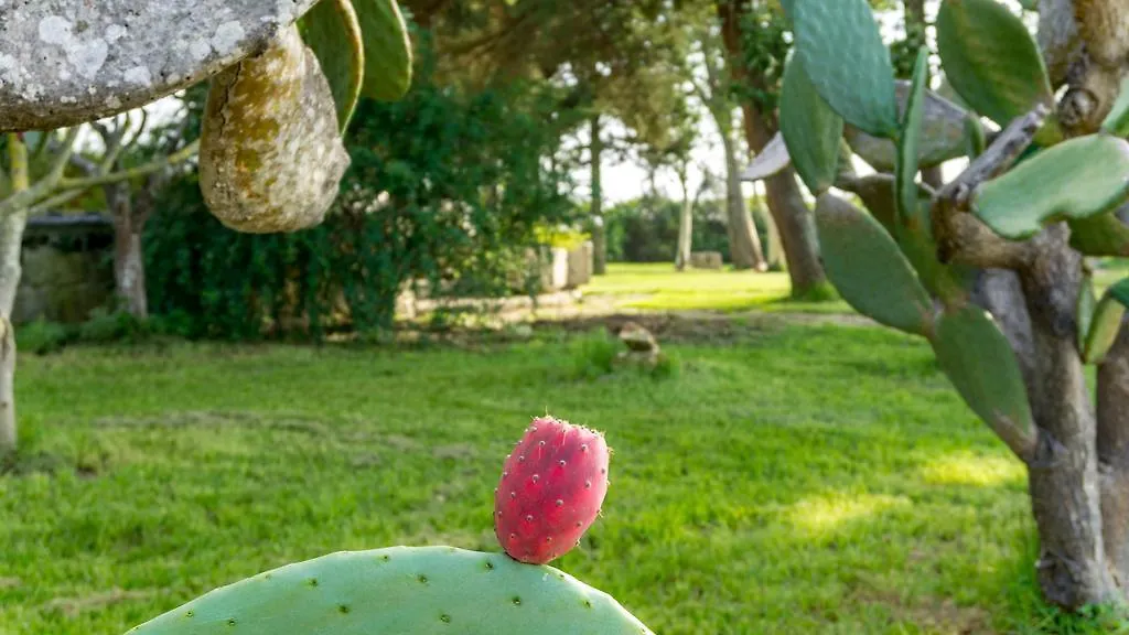 Casa vacanze Tenuta Masseria Cocciolicchio Hotel Lecce Italia